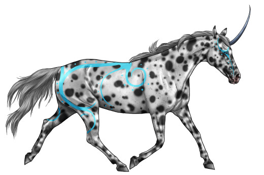 854362 (a): :4400x2906